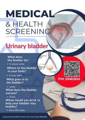 Quiz about Urinary bladder